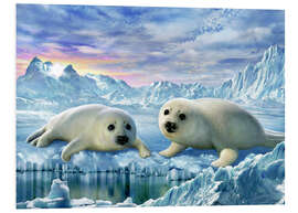 Foam board print Seal pups