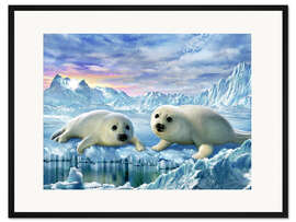 Gerahmter Kunstdruck Jungrobben