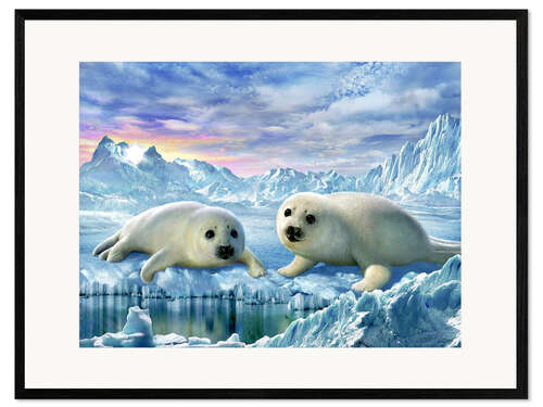 Ingelijste kunstdruk Seal pups