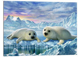 Galleriprint Seal pups