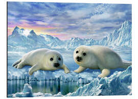 Magnettafel Jungrobben