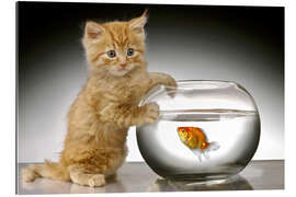 Gallery print Ginger cat and fishbowl