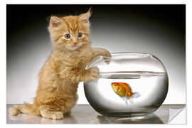 Wall sticker Ginger cat and fishbowl