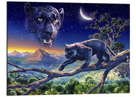 Aluminium print Twilight panther