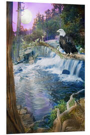 Cuadro de PVC Eagle Falls