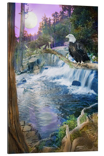 Gallery print Eagle Falls