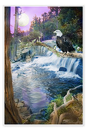 Poster Adler Wasserfall