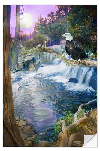 Wall sticker Eagle Falls