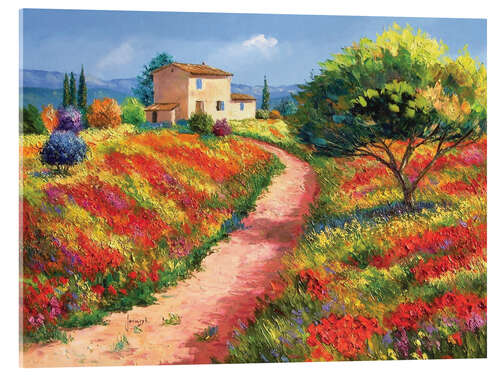 Acrylglasbild Haus in der Provence