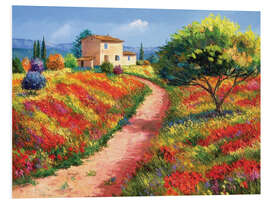 Foam board print Provencal House