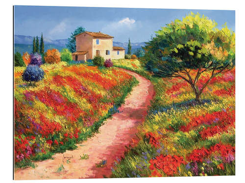 Gallery print Provencal House