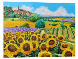 Tableau en PVC Vignes et tournesols en Provence