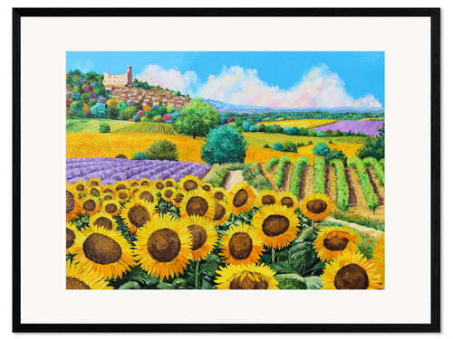 Kehystetty taidepainatus Vineyards and sunflowers in Provence