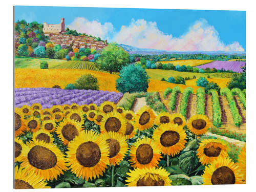 Gallery print Vineyards and sunflowers in Provence