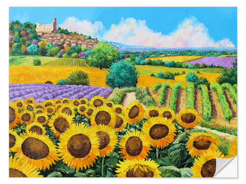 Vinilo para la pared Vineyards and sunflowers in Provence