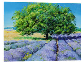 Foam board print Tree and Lavenders