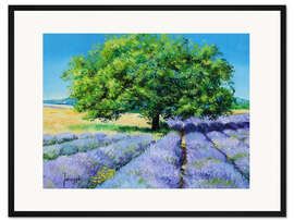 Gerahmter Kunstdruck Der Baum und der Lavendel