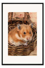 Gerahmter Kunstdruck Hamster im Weidenkorb