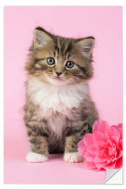 Wall sticker Kitten with flower