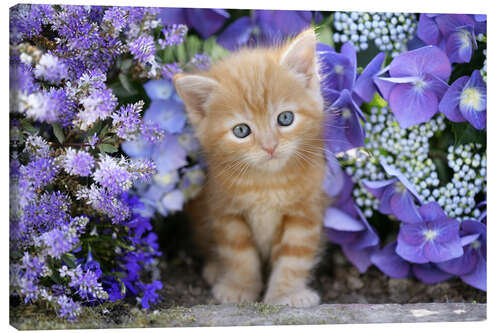 Canvas print Ginger cat in flowers