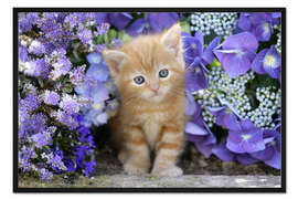 Gerahmter Kunstdruck Rotes Kätzchen