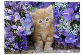 Foam board print Ginger cat in flowers