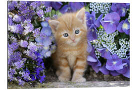 Gallery print Ginger cat in flowers