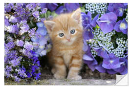 Naklejka na ścianę Ginger cat in flowers