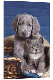 Magnettafel brothers from different mothers