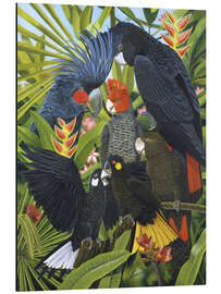 Magnettafel Papagaienarten