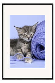 Gerahmter Kunstdruck Kuschelwolle