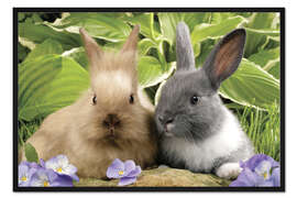 Gerahmter Kunstdruck Häschen im Grünen