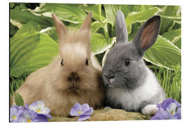 Magnettafel Häschen im Grünen