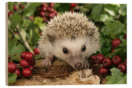 Holzbild Igel mit Beeren