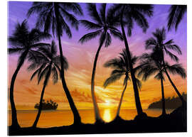 Acrylic print Palm beach sundown