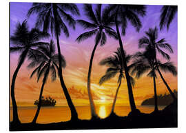 Aluminium print Palm beach sundown