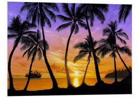 Foam board print Palm beach sundown