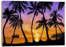 Wood print Palm beach sundown