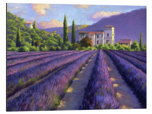 Tableau en aluminium Lavender field with Abbey