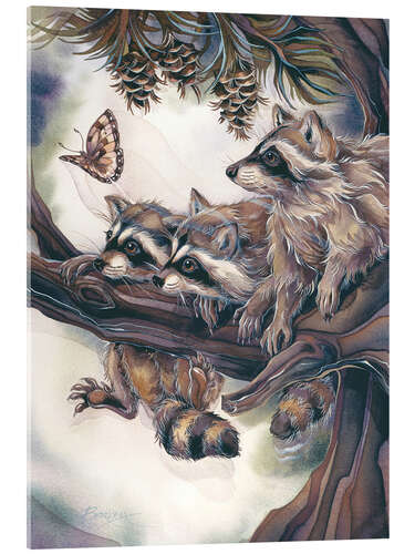 Acrylic print Raccoons and butterfly