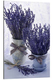 Aluminium print Lovely Lavender