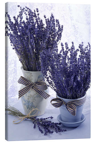 Canvas print Lovely Lavender