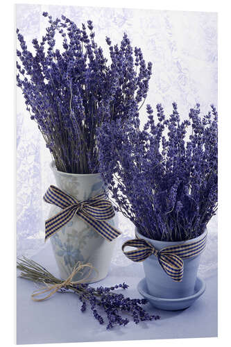 Foam board print Lovely Lavender