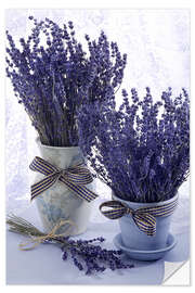 Selvklebende plakat Lovely Lavender