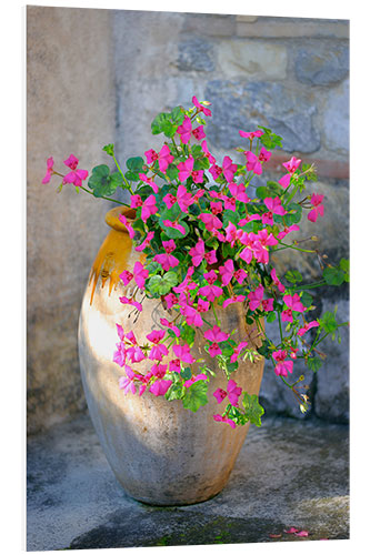 Foam board print Pink Patio Flowers 