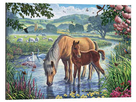 Aluminium print Fell ponies