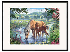 Gerahmter Kunstdruck Englische Fell-Ponys