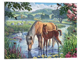 Galleriprint Fell ponies