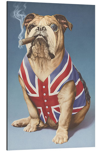 Aluminium print British bulldog