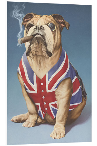 Obraz na PCV British bulldog